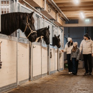 Die Stallgasse mit unseren Pferdeboxen.