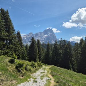 Wer von der Aualm zur Sulzkaralm.