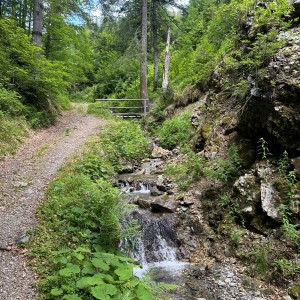 Die schönste Kulisse? Die Natur selbst.