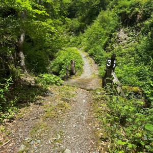 Entlang der Bacherklamm führen kleine Holzbrücken immer wieder über den Bach.